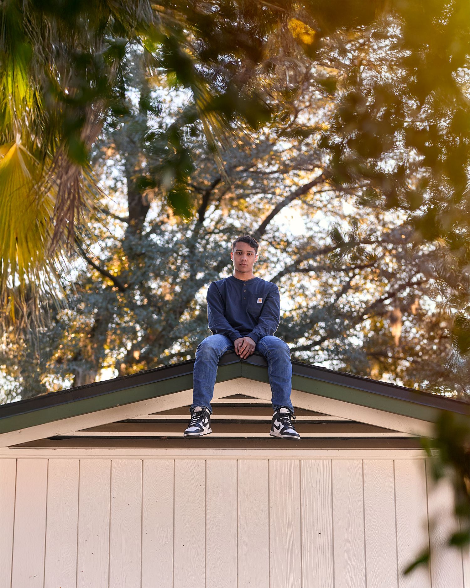 Person sitting on peak of white building roof with golden sunlit trees in background.