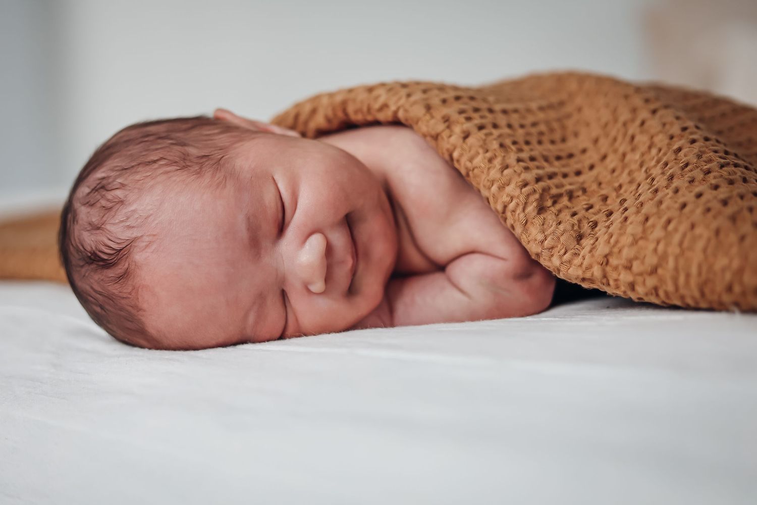 Sleeping newborn baby wrapped in brown knit blanket on white background. Newborn photography