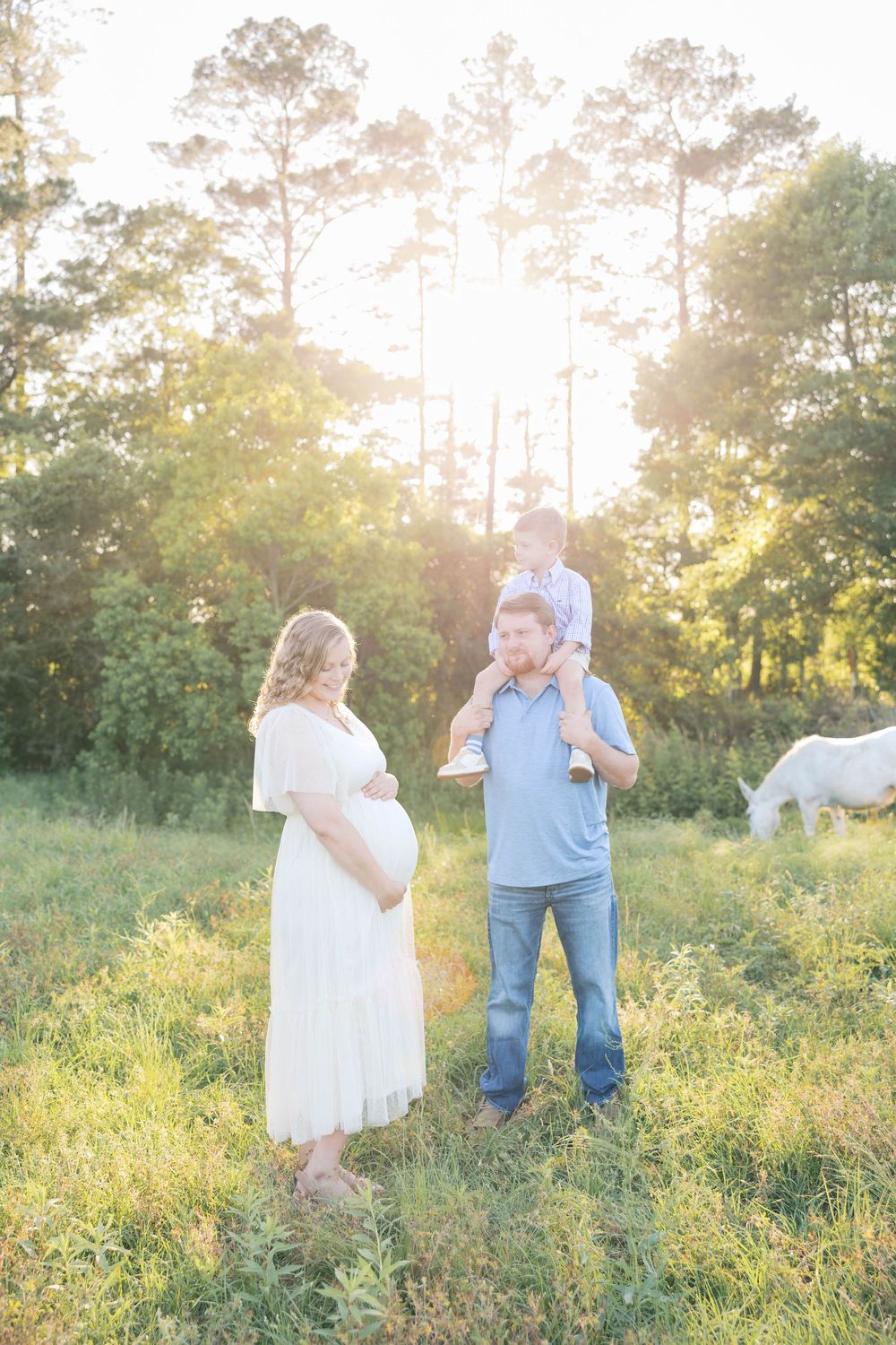 Pregnant woman in white dress stands with husband and toddler on shoulders in sunlit meadow with horses.