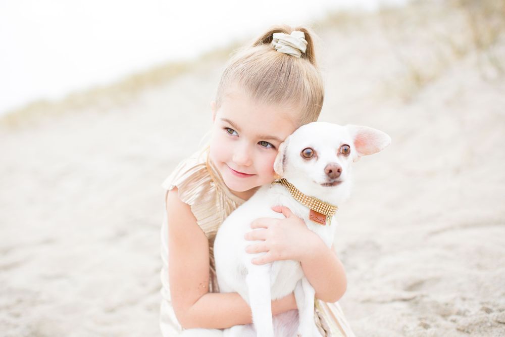 Young girl holding small white chihuahua mix dog on beach.