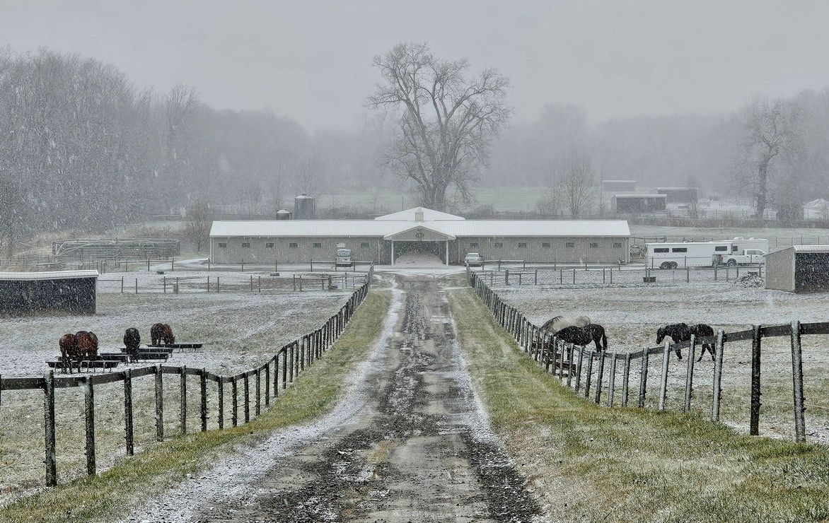 Foggy Bottom Farm