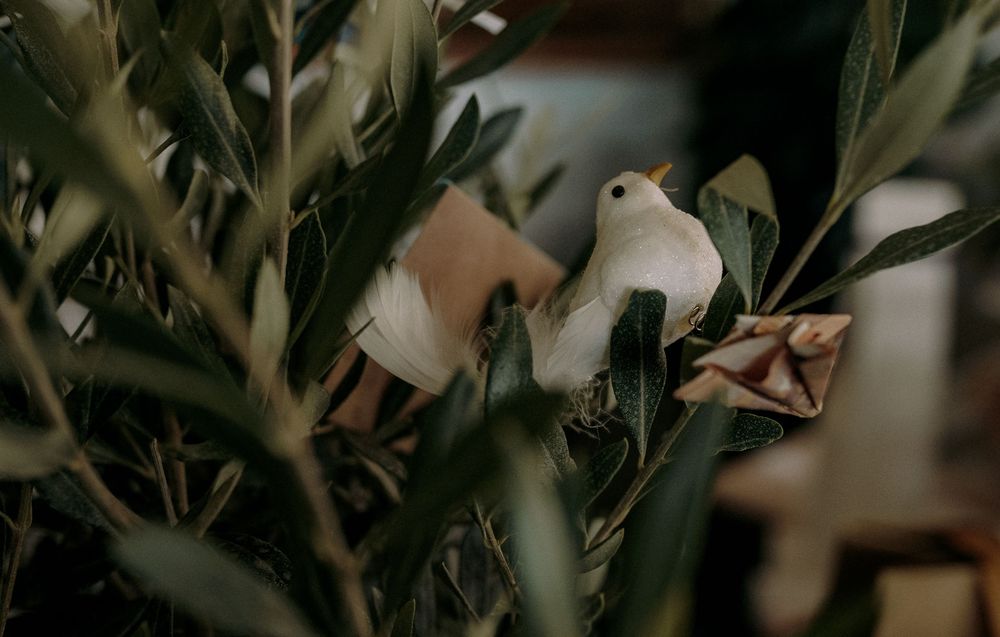 White decorative dove ornament nestled among green olive branches and foliage.