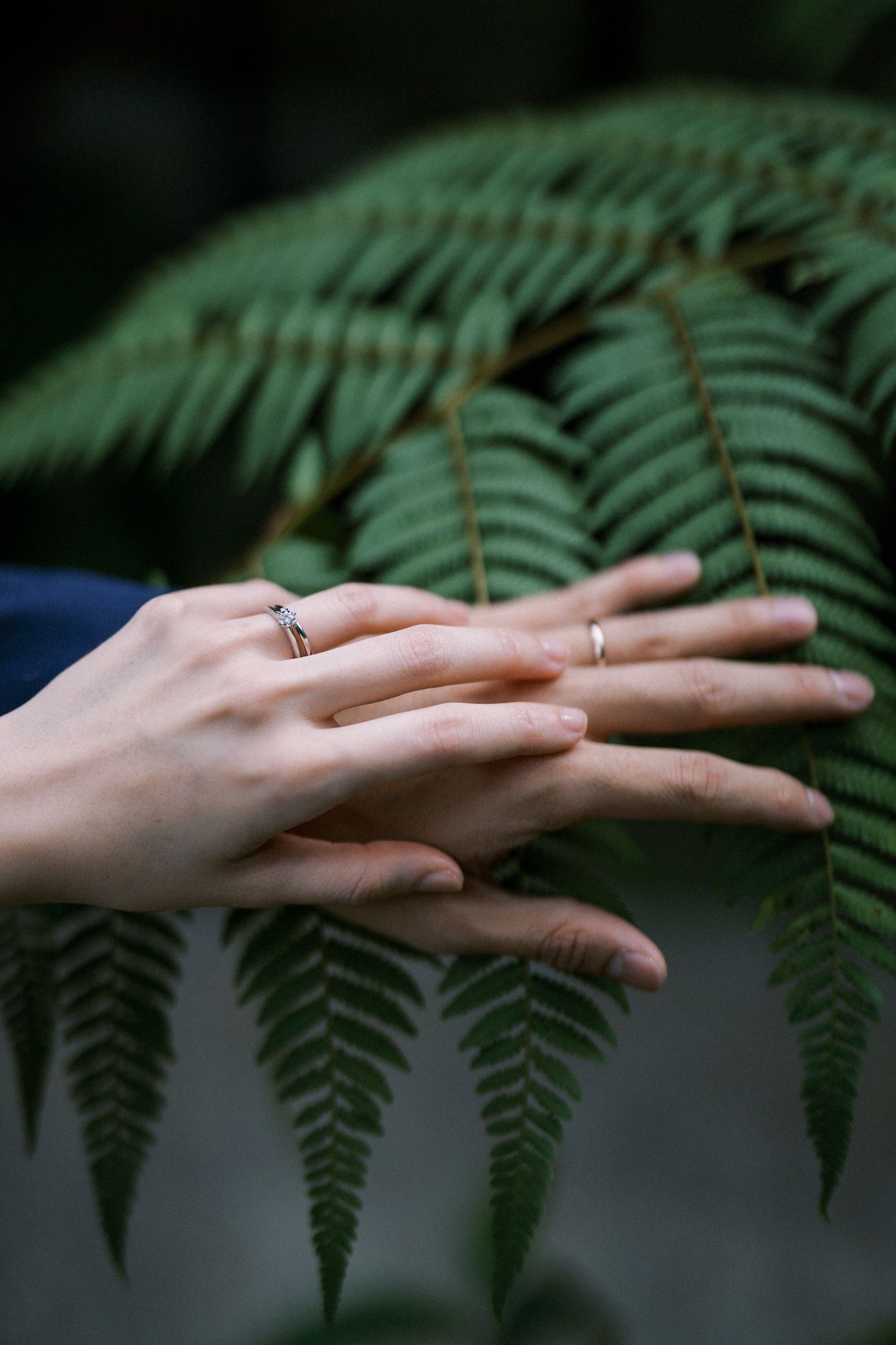 Two hands displaying wedding rings against a green fern leaf background in artistic composition.