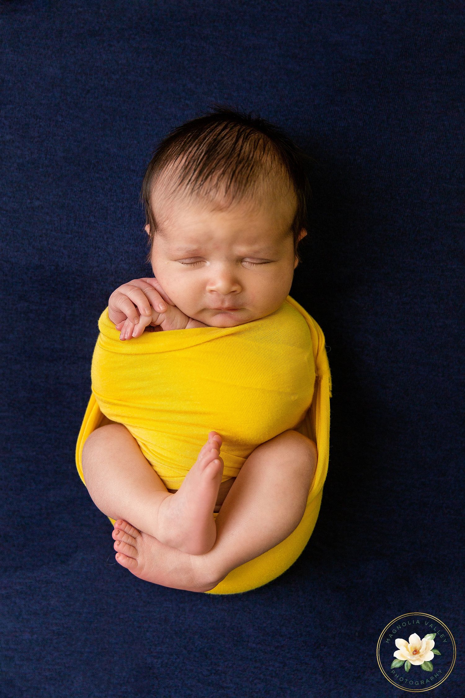 newborn photosession, Philadelphia newborn photographer, Magnolia Valley Photography, Bucks County Pa