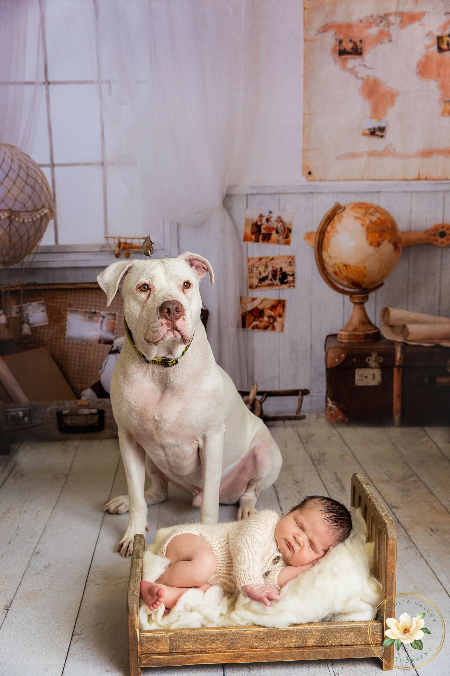 newborn photosession, Philadelphia newborn photographer, Magnolia Valley Photography, Bucks County Pa