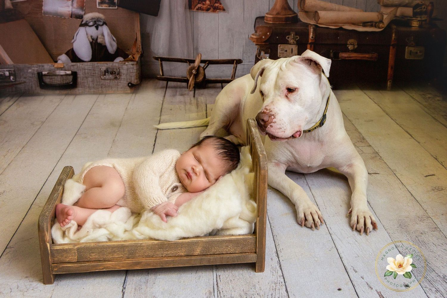 newborn photosession, Philadelphia newborn photographer, Magnolia Valley Photography, Bucks County Pa