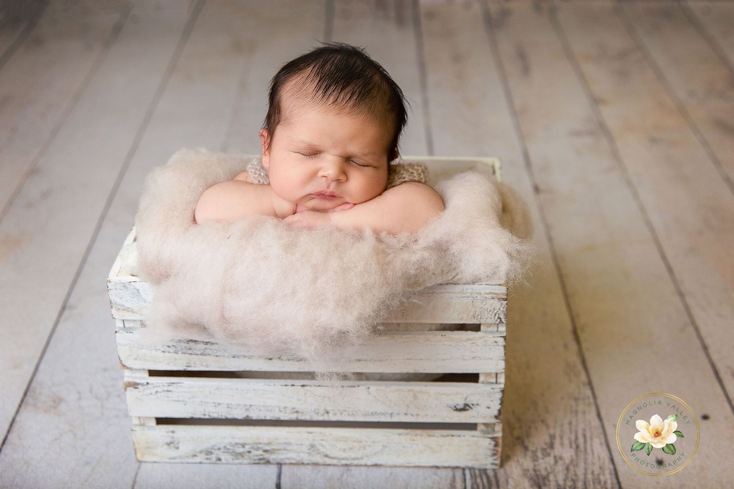 newborn photosession, Philadelphia newborn photographer, Magnolia Valley Photography, Bucks County Pa