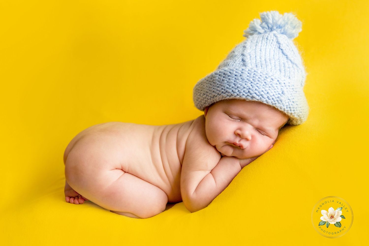 newborn photosession, Philadelphia newborn photographer, Magnolia Valley Photography, Bucks County Pa