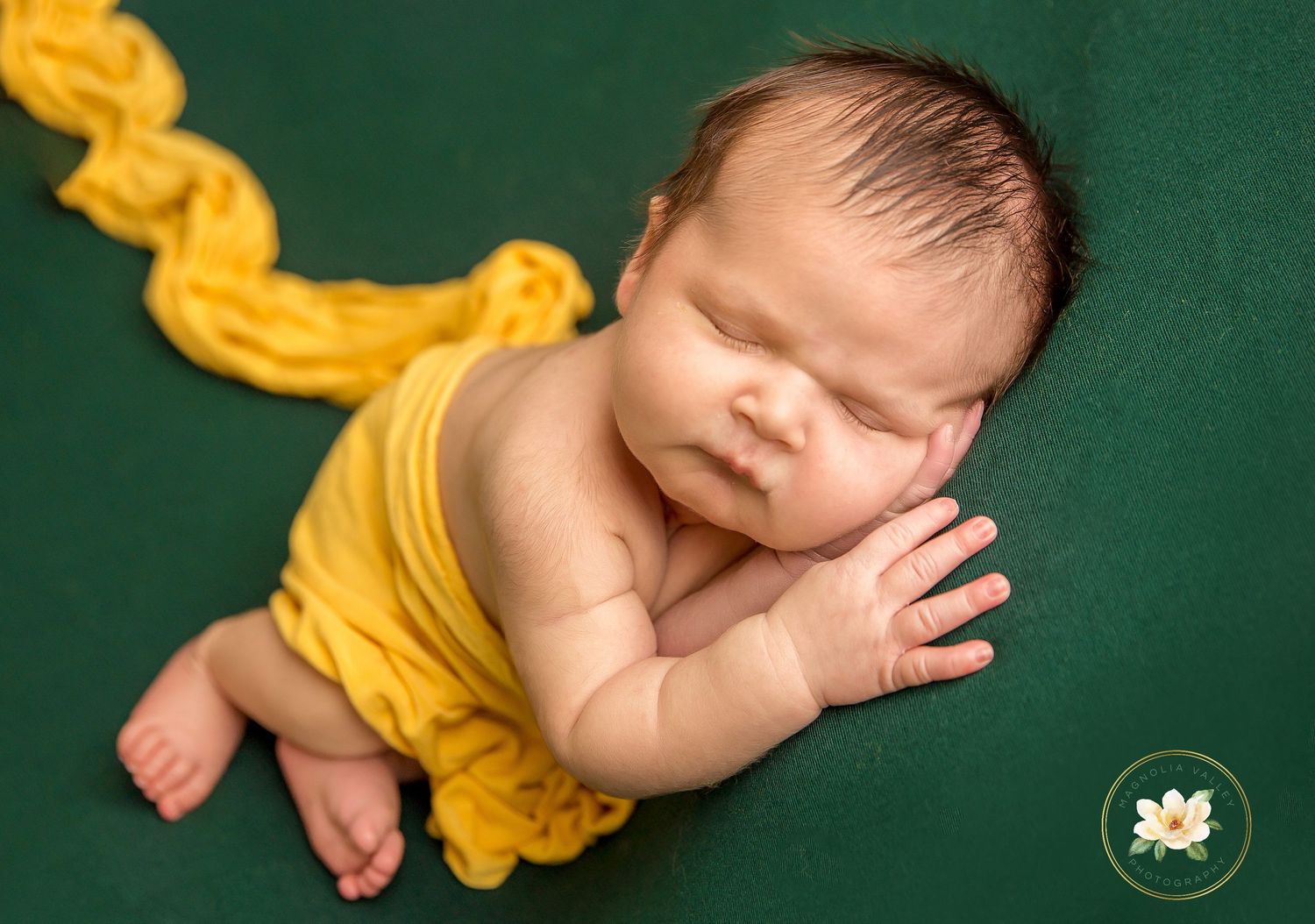 newborn photosession, Philadelphia newborn photographer, Magnolia Valley Photography, Bucks County Pa