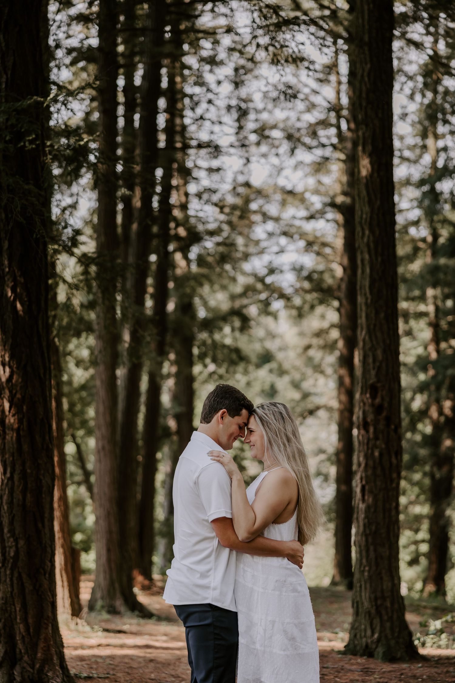 Romantic couple embracing forehead-to-forehead in a sunlit forest with tall pine trees.