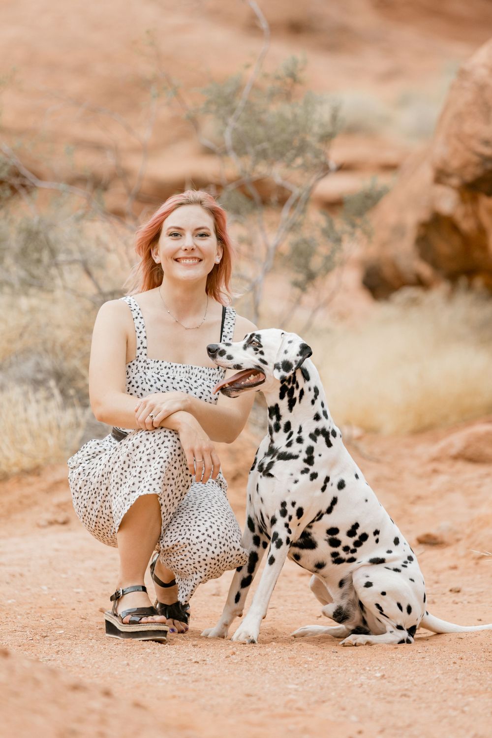 Utah branding dog photoshoot photography