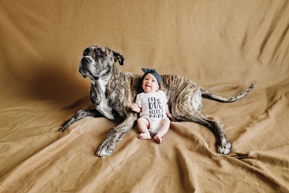 dog baby family newborn Utah photoshoot photographer