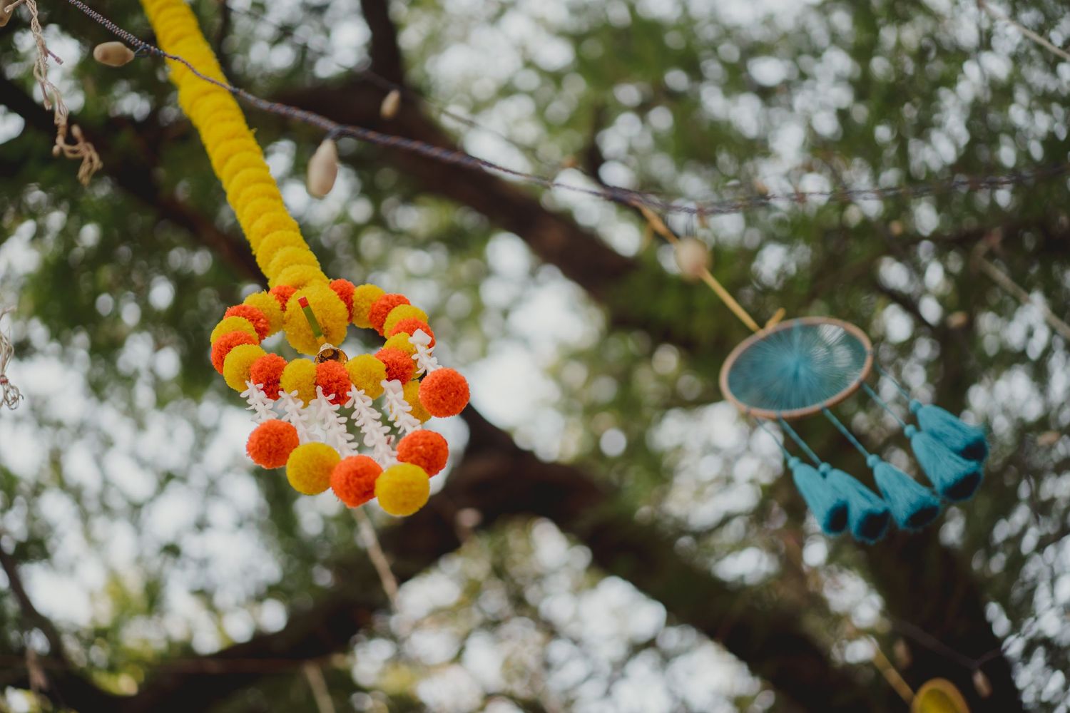 Colorful paper lanterns and decorations hanging from tree branches outdoors.
