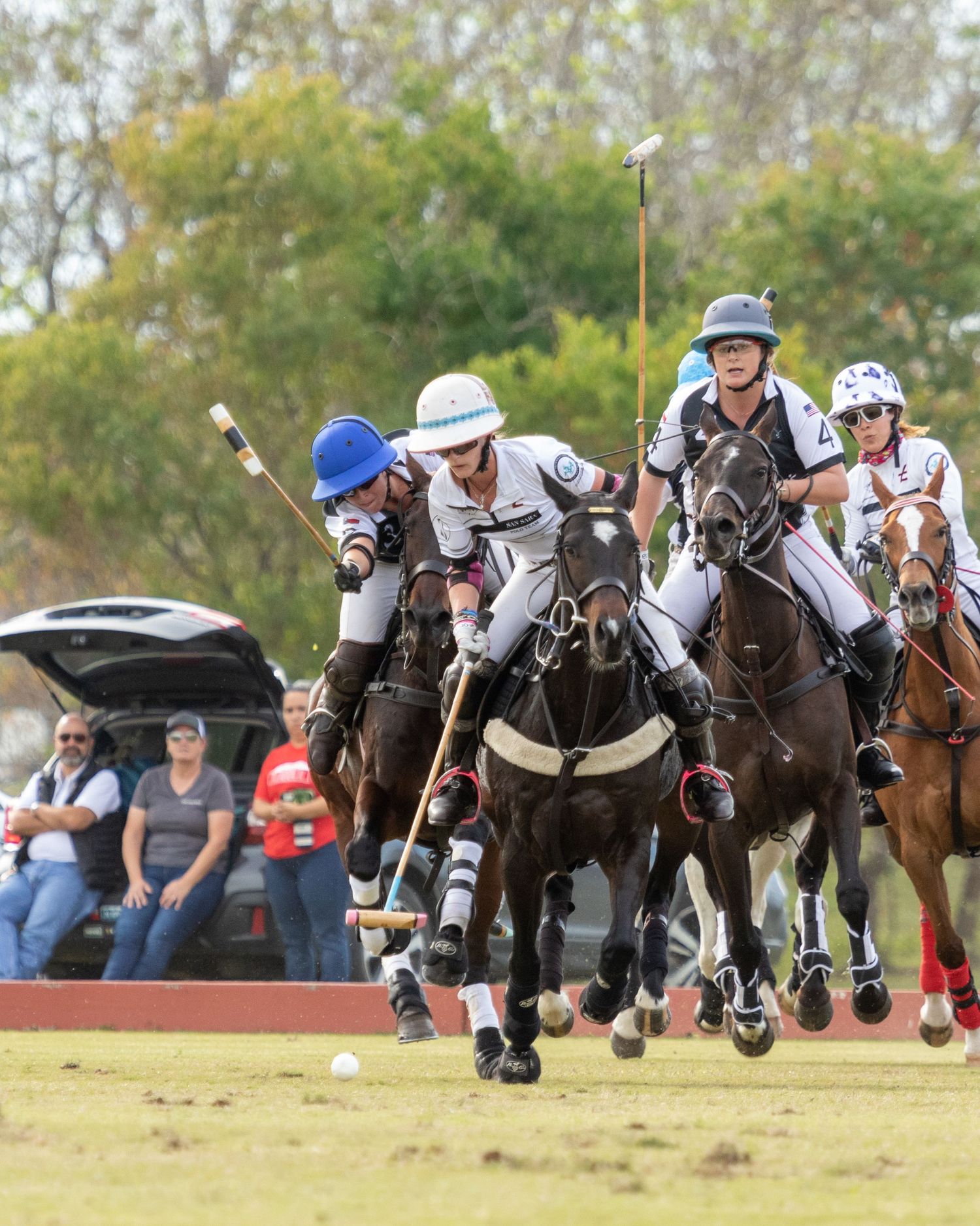 Polo