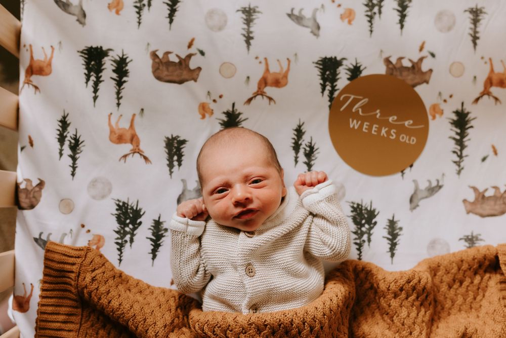 Nursery wall decorated with whimsical woodland animal pattern and forest motifs.
