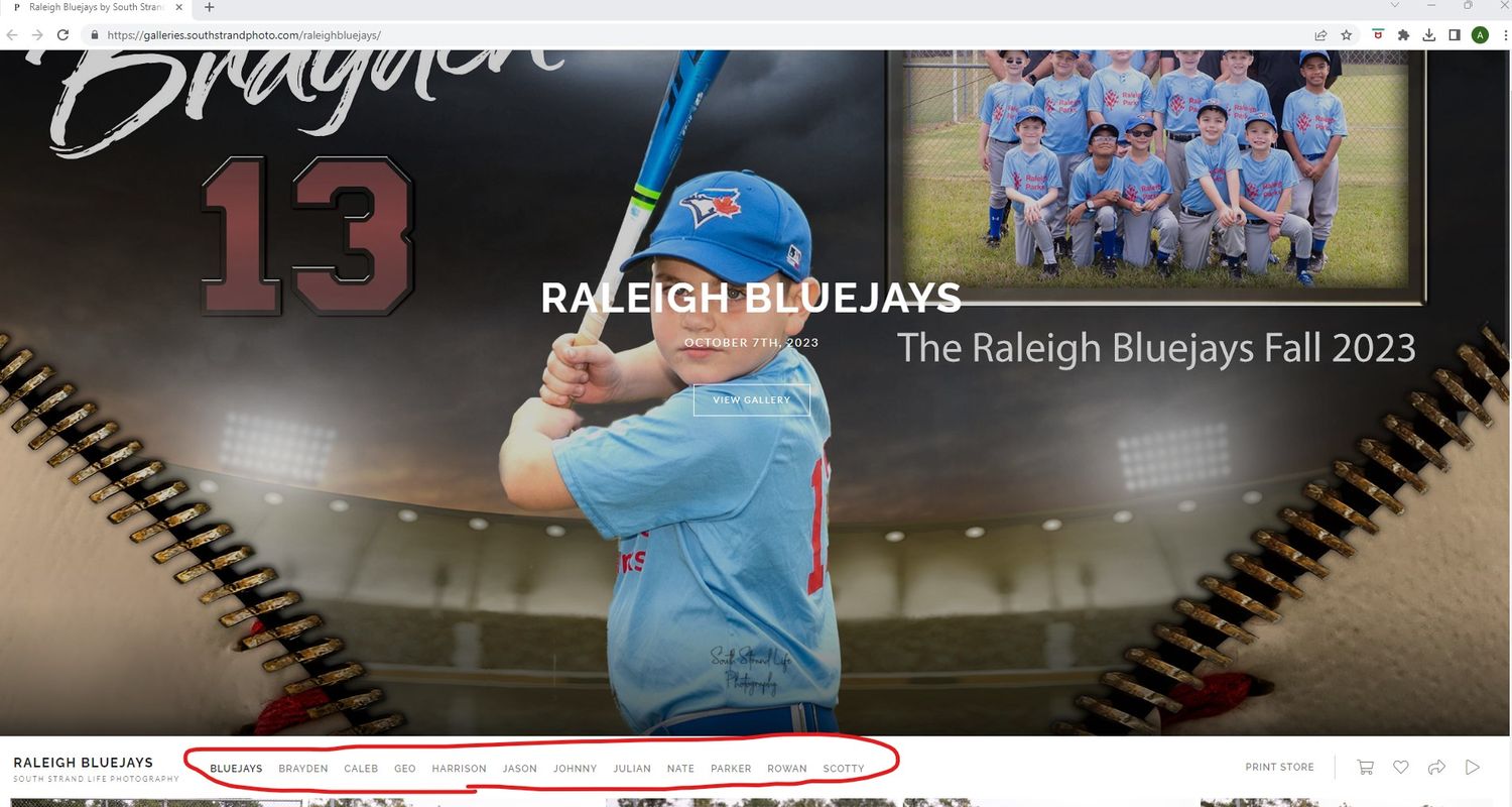 Baseball player batting stance photo against dark background with Raleigh Bluejays branding.