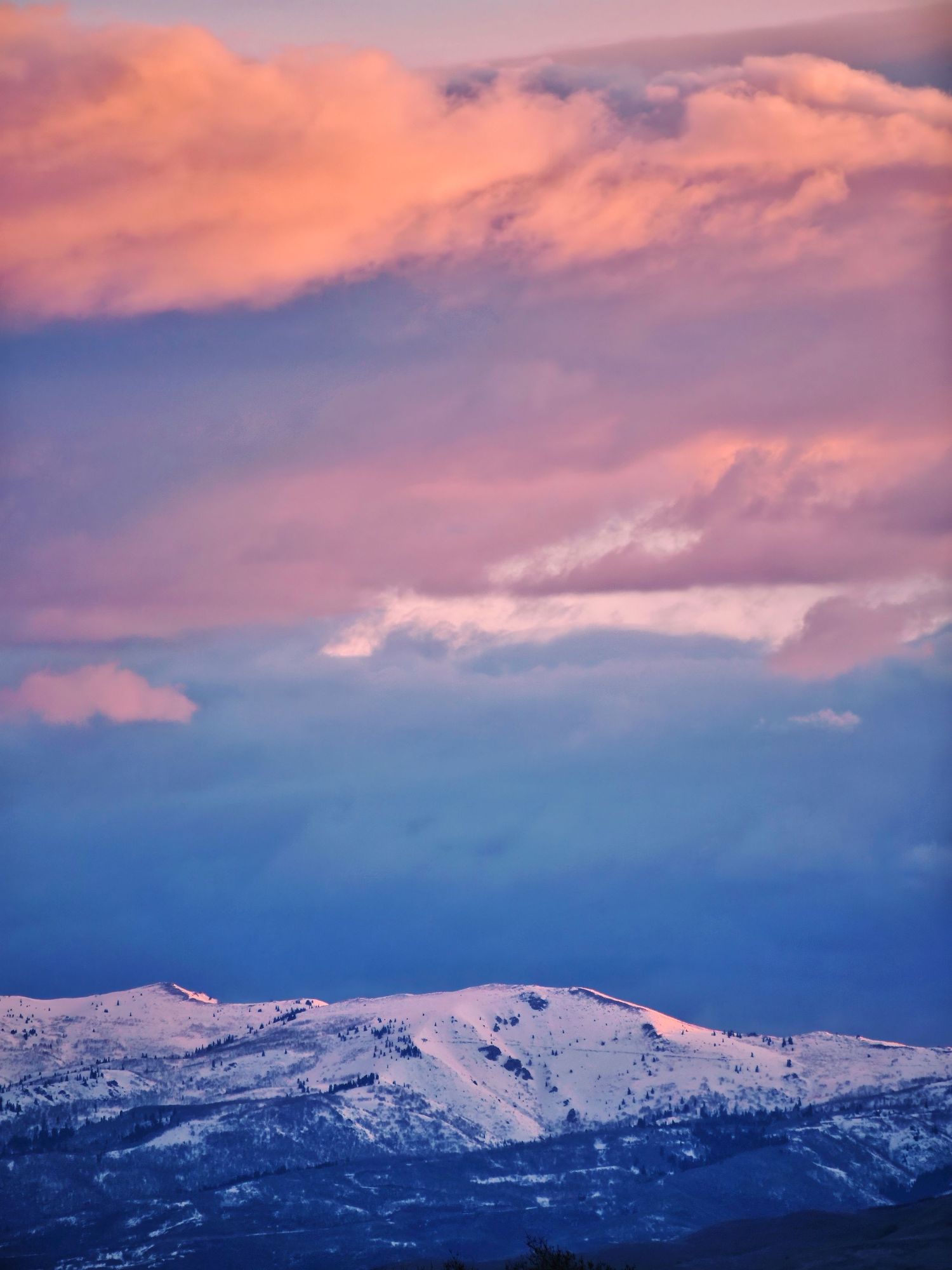 Rosey clouds fill the frame save for the snowcapped mountains at the bottom.