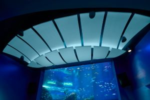 Interior photo of the accoustic cloud ceilings in the Mississippi Aquarium in Gulfport, MS by Cincinnati drone photographer Studio 66