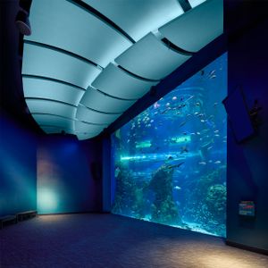 Interior photo of the accoustic cloud ceilings in the Mississippi Aquarium in Gulfport, MS by Cincinnati drone photographer Studio 66