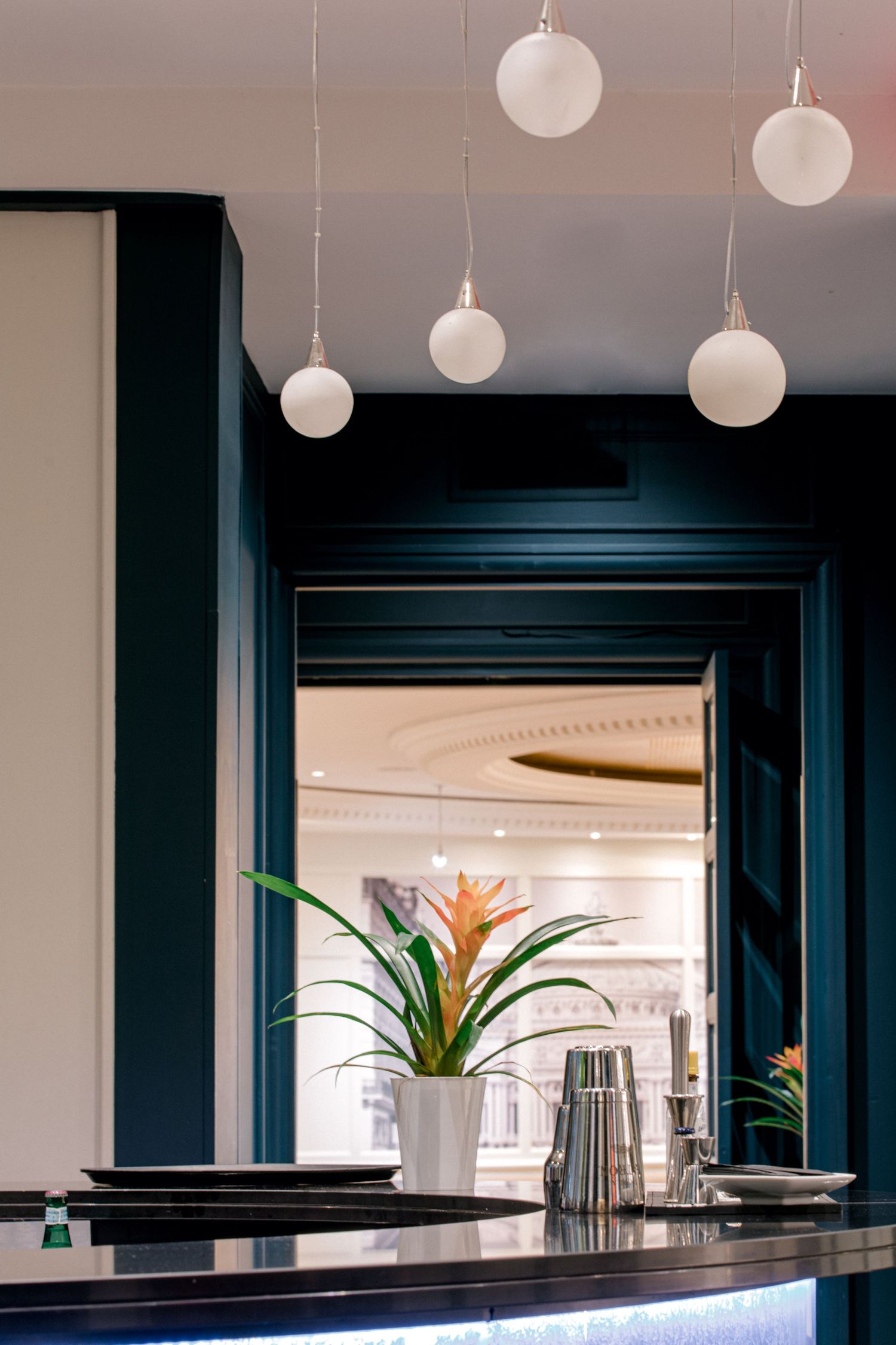 Contemporary bar interior with hanging globe lights, potted plants and navy blue trim details.