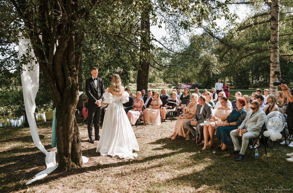 Outdoor forest wedding ceremony with guests seated among trees in dappled sunlight.