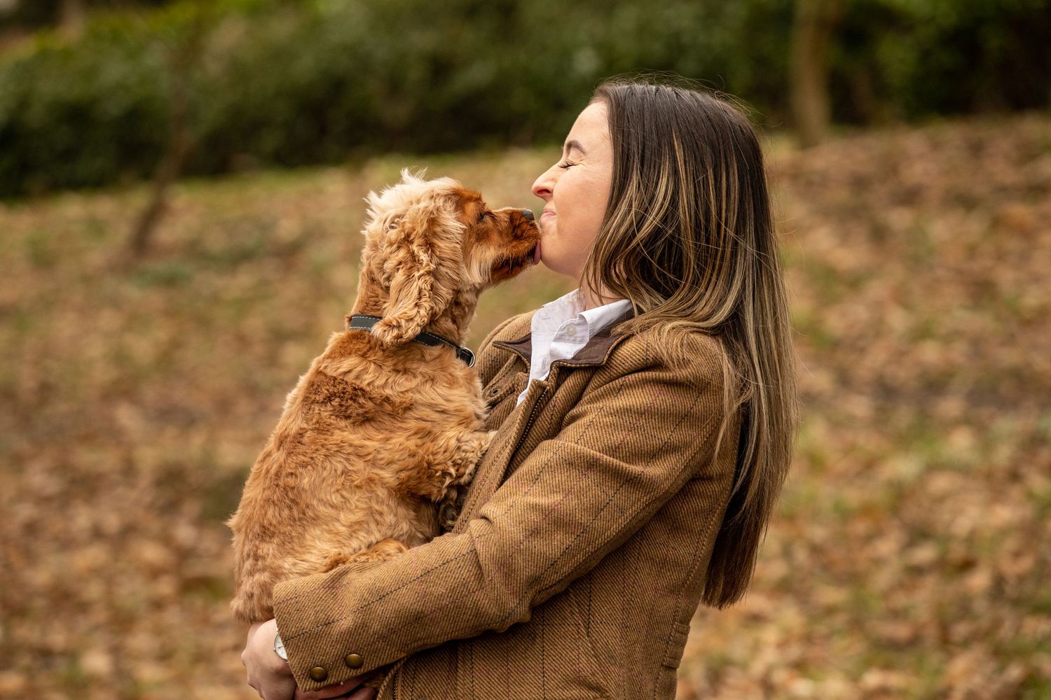 Small brown dog giving kisses to someone in a brown coat on an autumn day in nature.