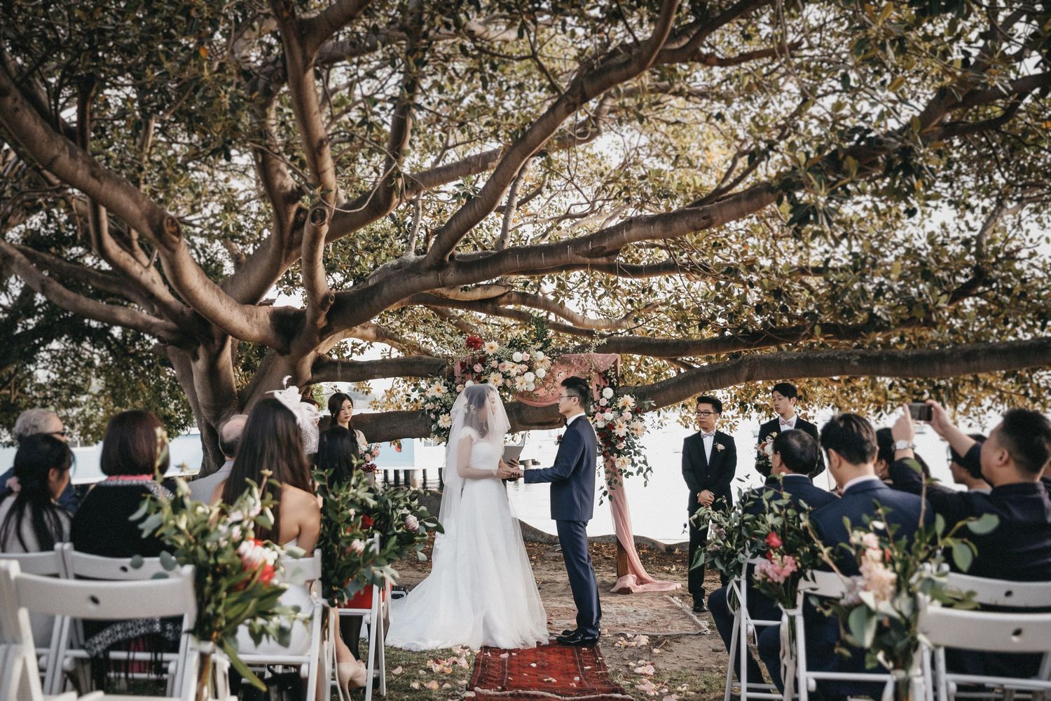 Romantic outdoor wedding ceremony beneath a large fig tree with white chairs and lush greenery decorations.