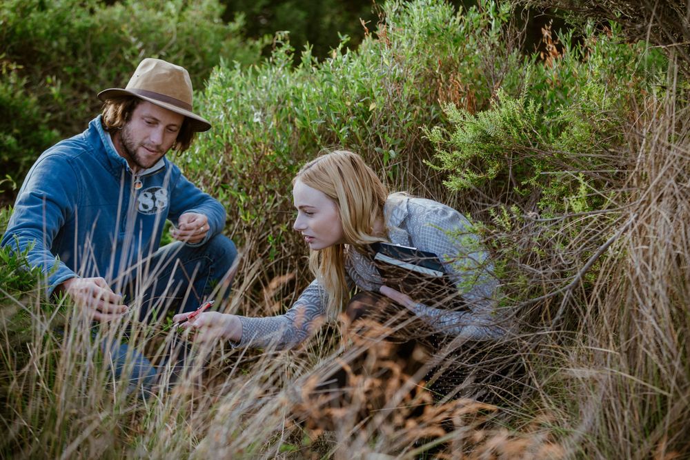 A father and child exploring nature together in tall grass.