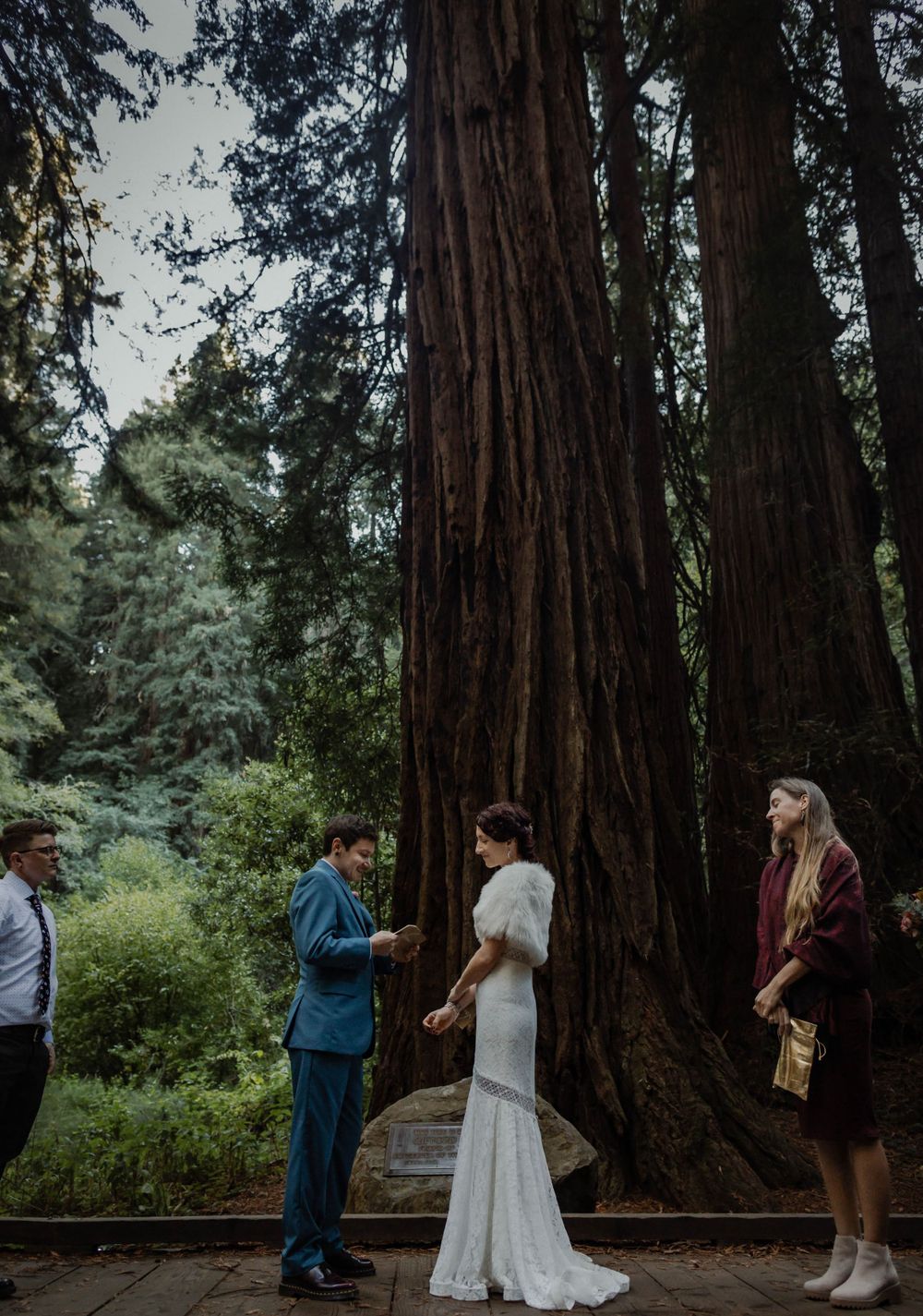 wedding in muir woods large trees reading vows
