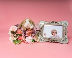 Pet Studio Photographer Greenville South Carolina