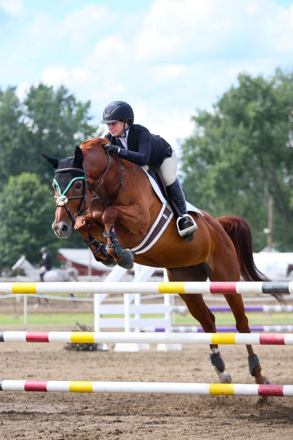 jumping horse  captured by q2 photography