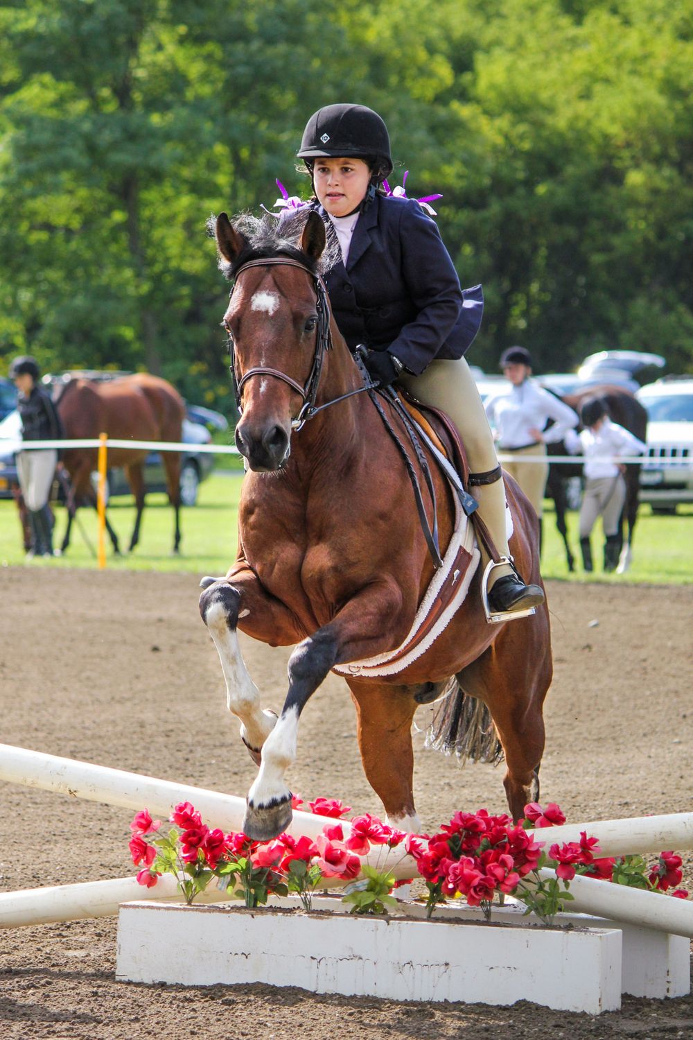 crossrail jumping horse  captured by q2 photography at stockade polo and saddle club