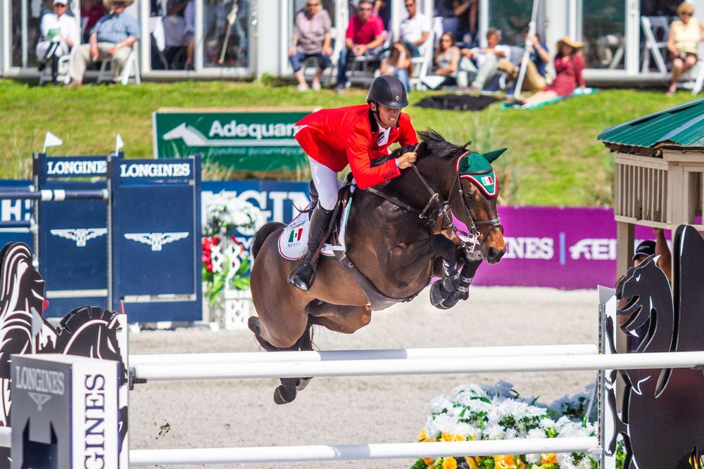 international show jumping horse at hits Ocala  captured by q2 photography