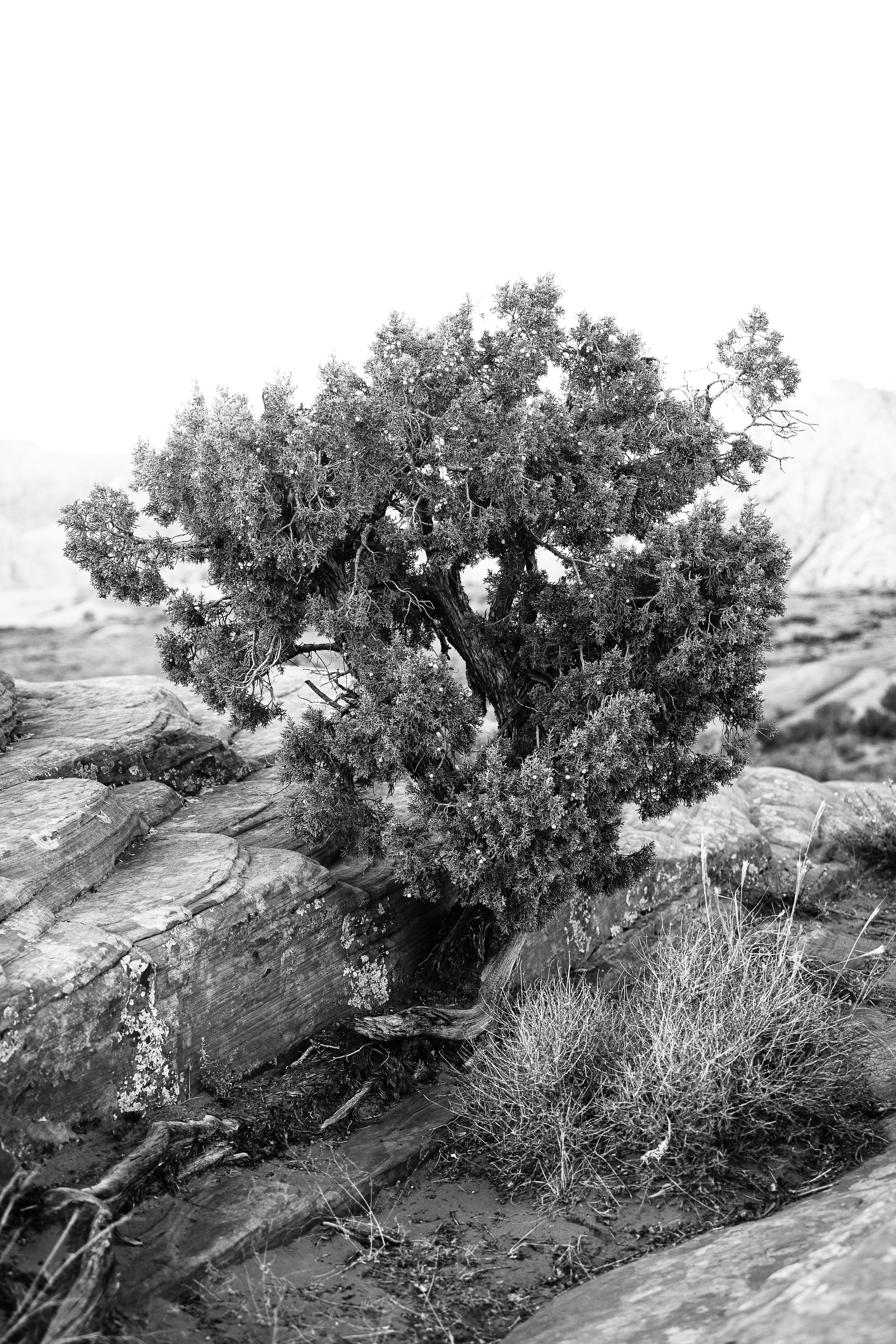 landscape photos prints