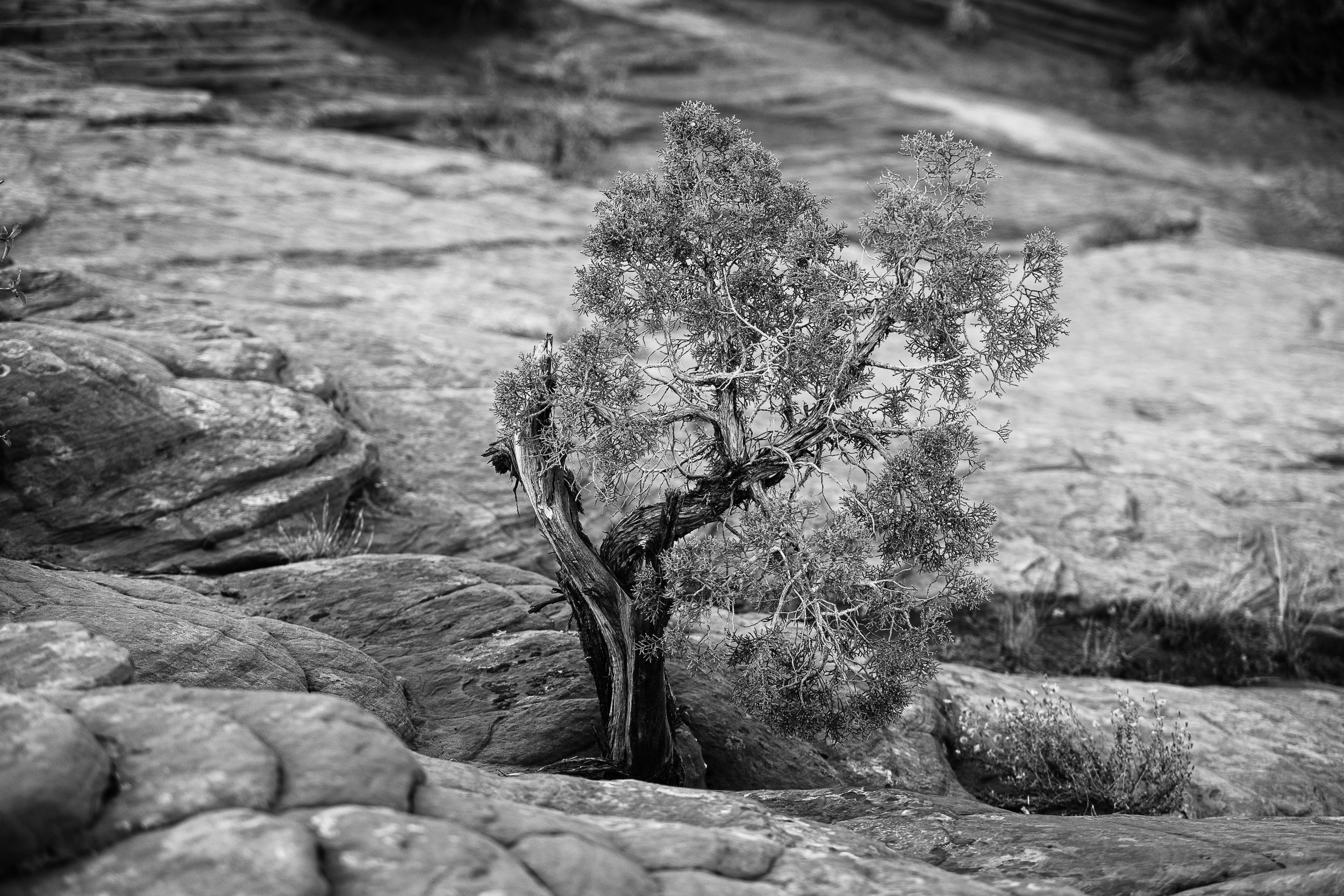 landscape photos prints