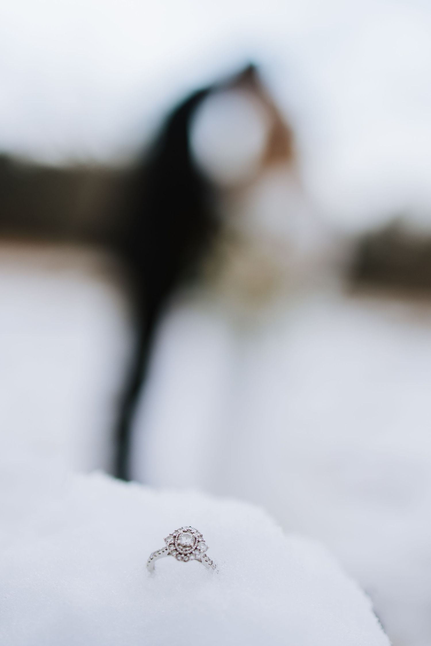Oak Openings Elopement photos in the snow captured by photographer Autumn Case with DreamStudios LLC out of Toledo Ohio
