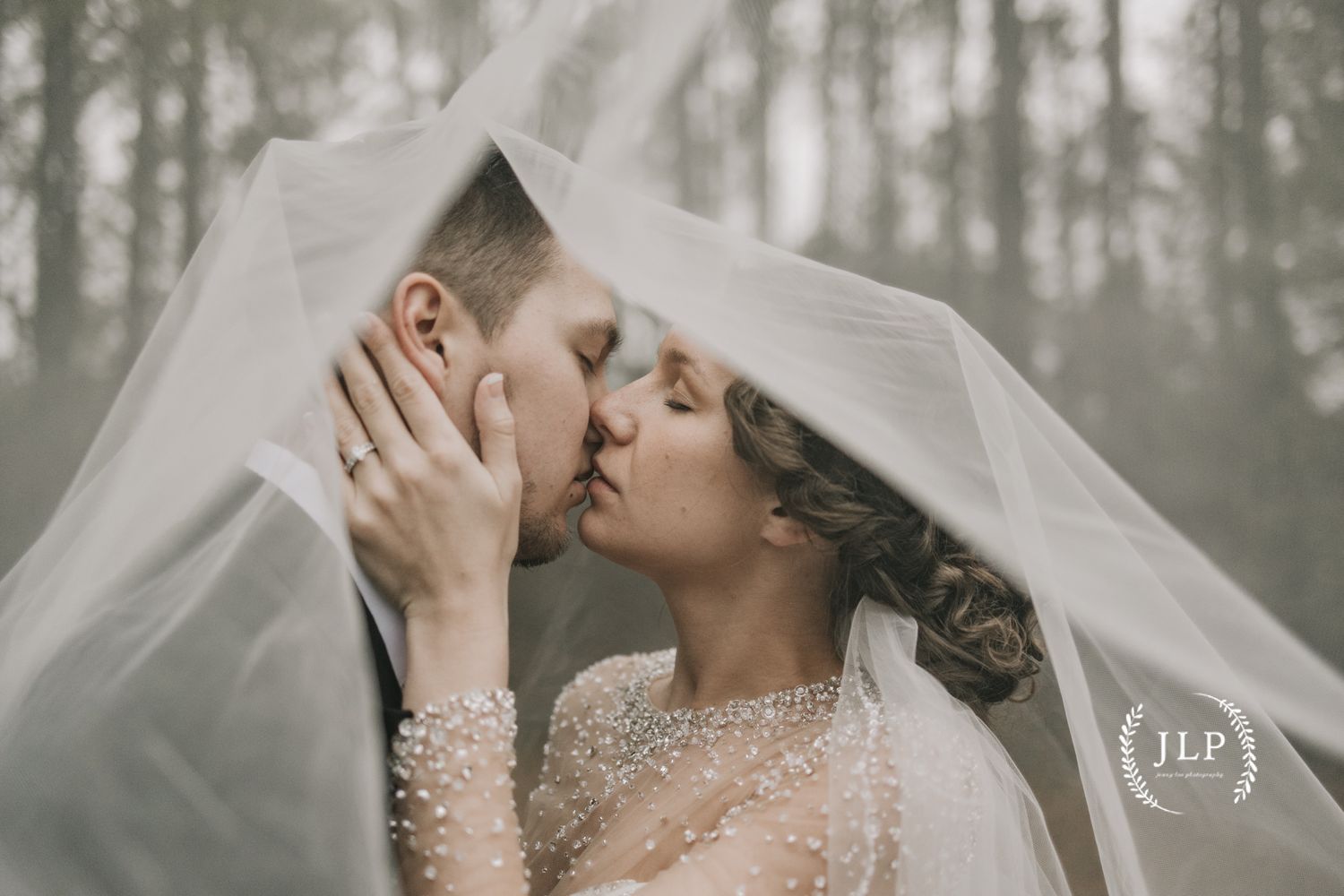 Misty forest wedding portraits with romantic veil shots in ethereal lighting.