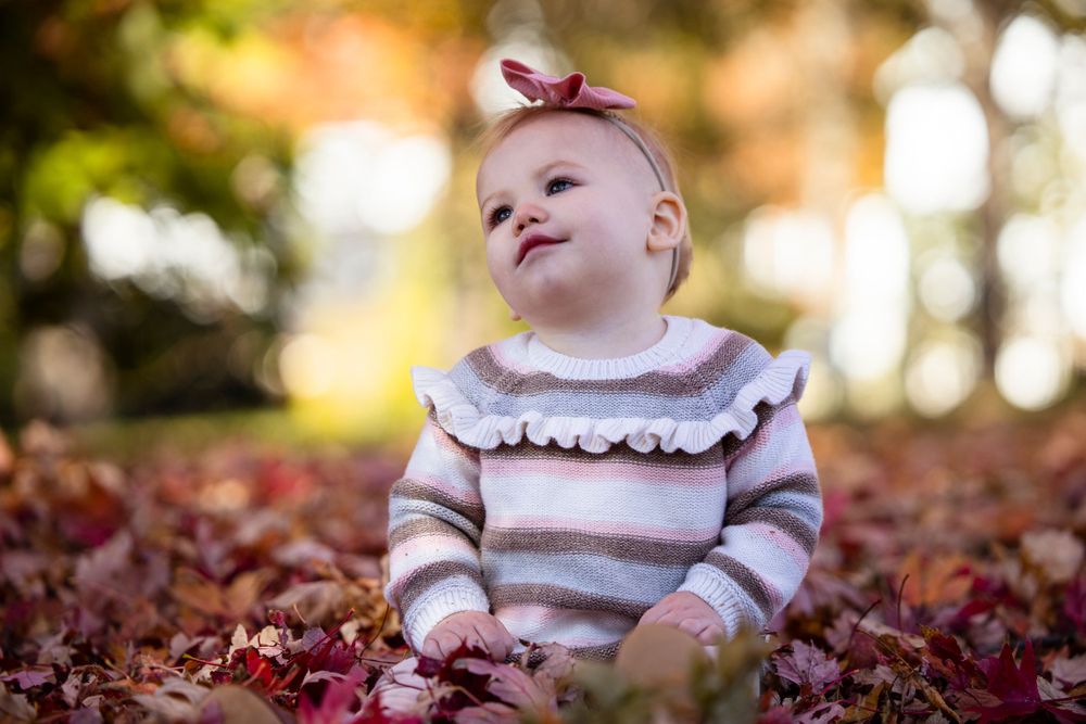 St. Louis family photographer Carly Scaduto Photography