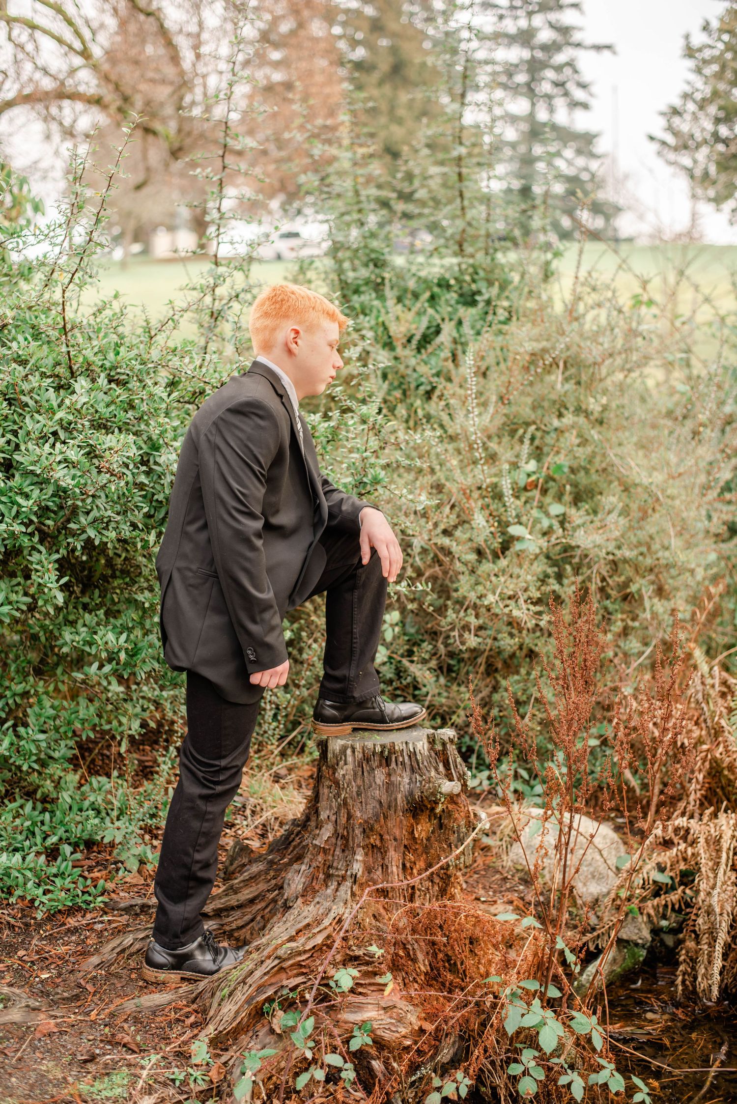 Outdoor photos in a garden setting with autumn foliage and dried plants.