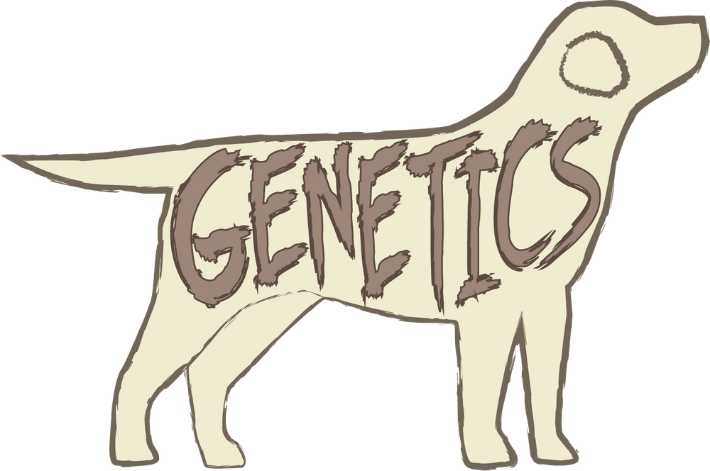 Genetics Lab(rador)