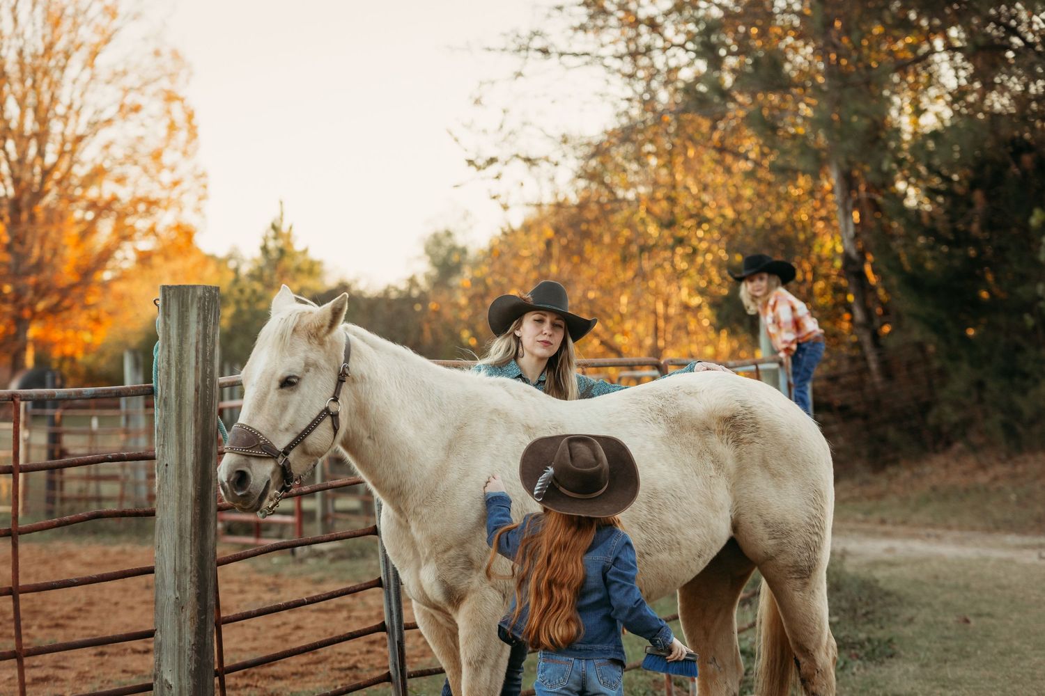 Horse with family on a farm. Greenville sc newborn photographer, Easley sc newborn photographer, Upstate sc newborn photographer