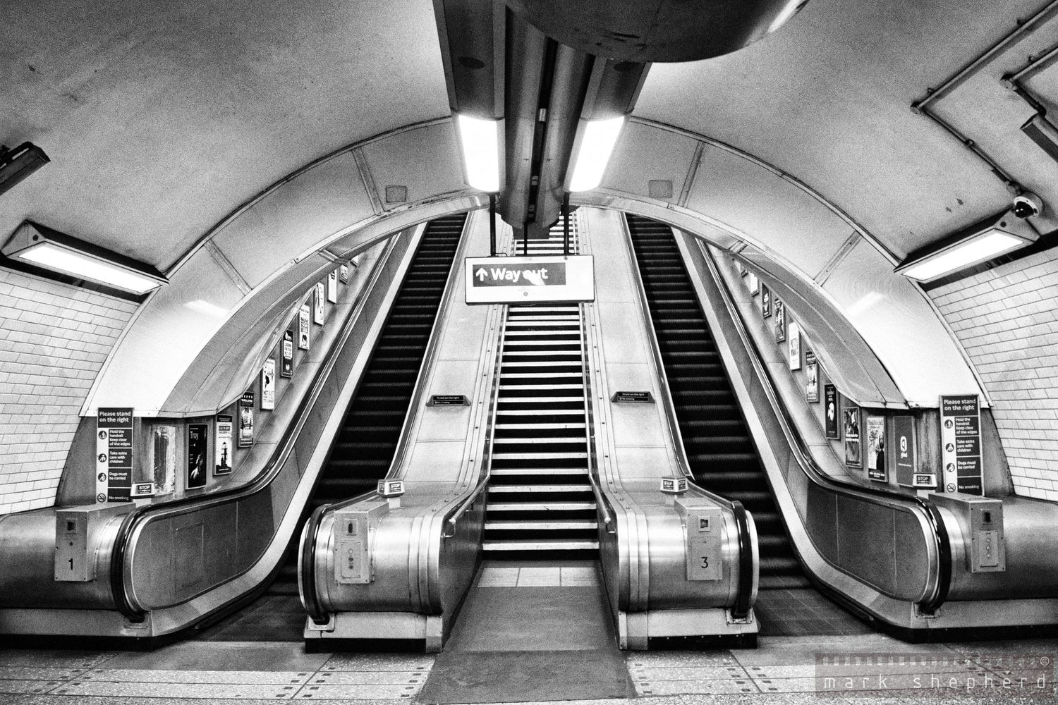 Mark Shepherd Photography