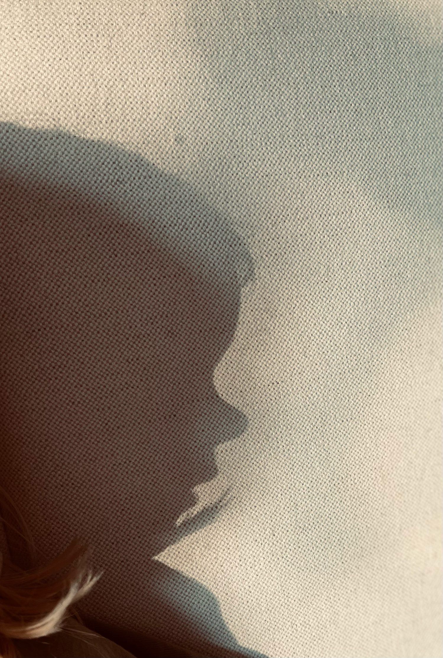 photograph with shadows