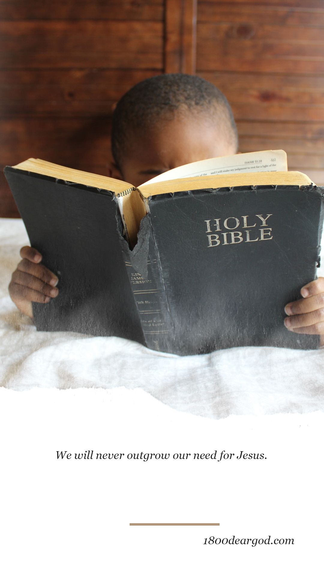 Bible Studies