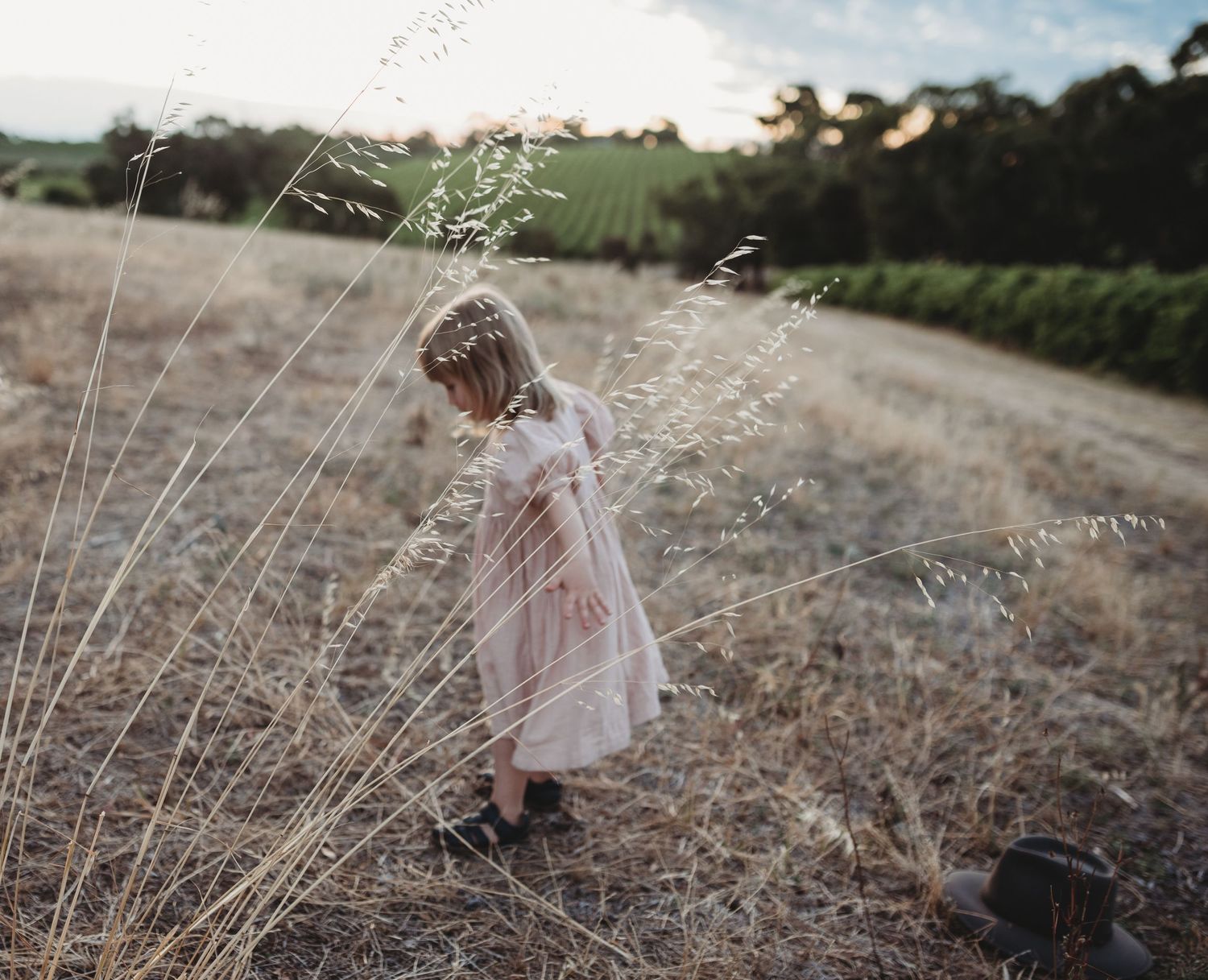 Little girl in dress walking through tall grass in golden sunlight.