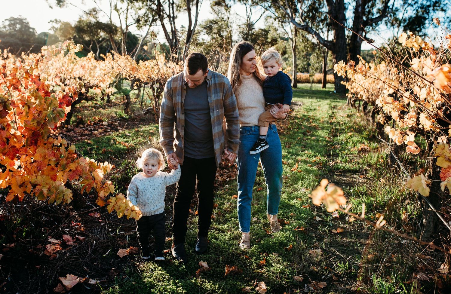 Panoramic view of family photoshoot in autumn vineyard setting.