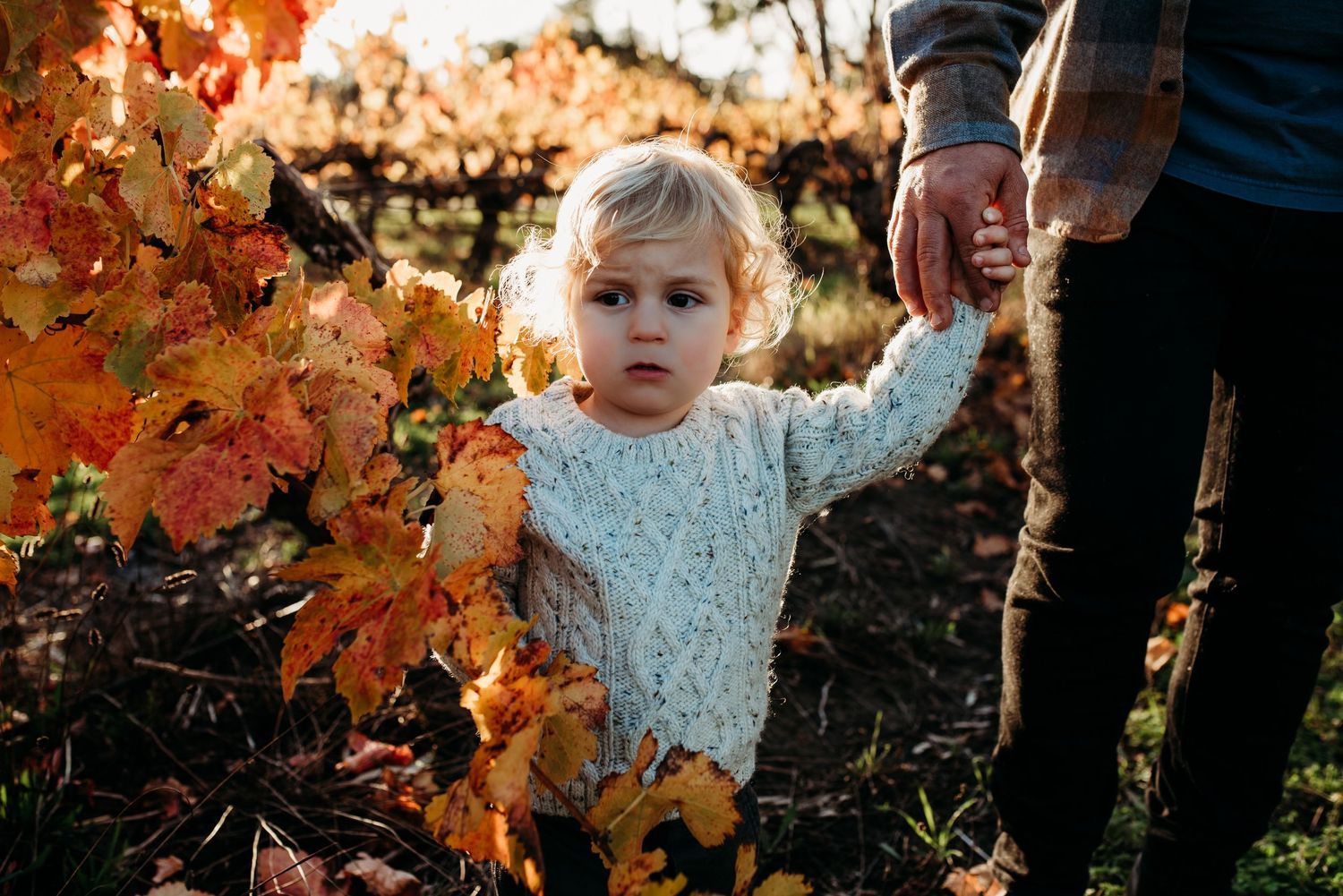 Family playing among colorful fall foliage during outdoor photoshoot.