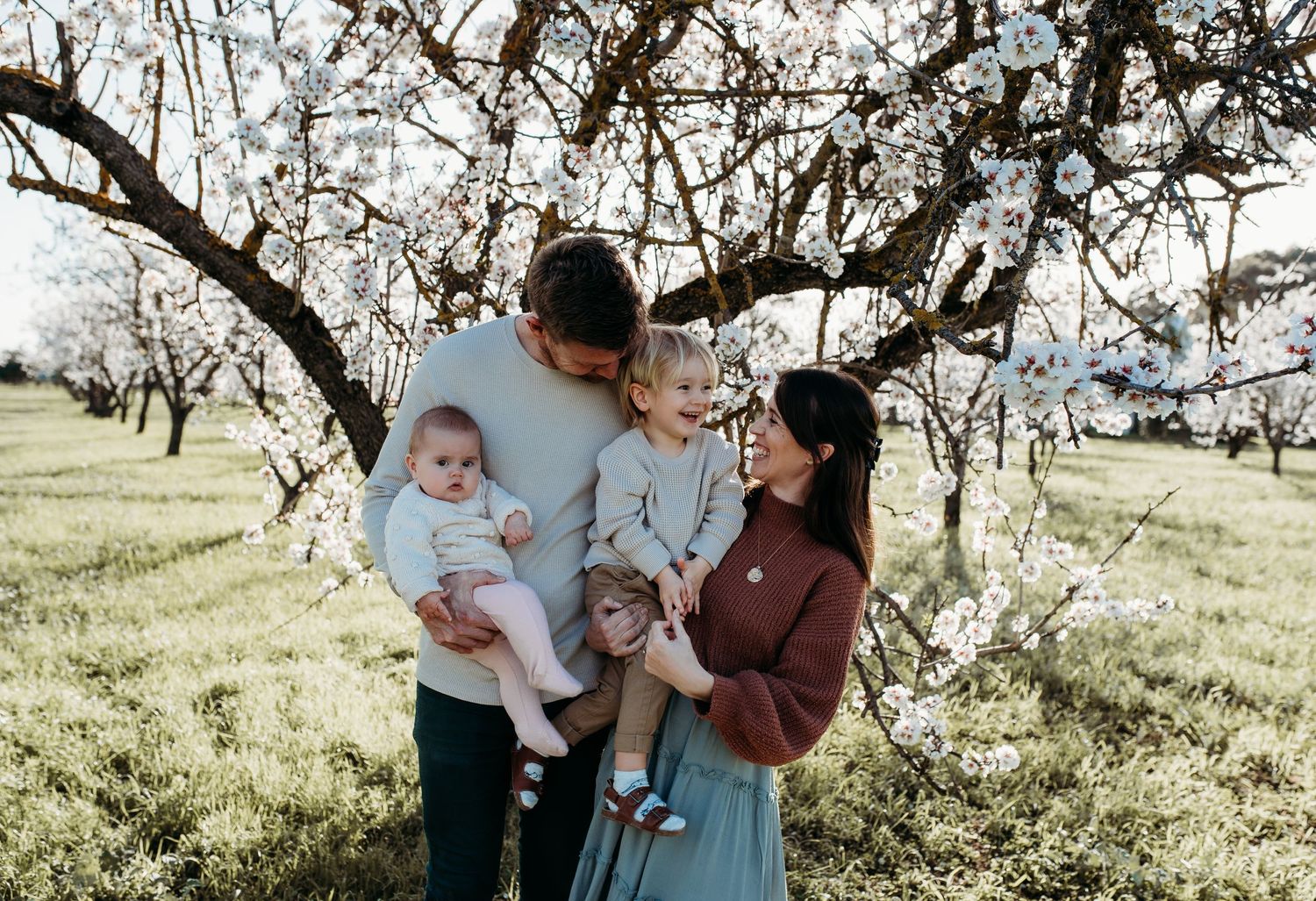 Family of four posing together among blooming spring trees in an orchard.