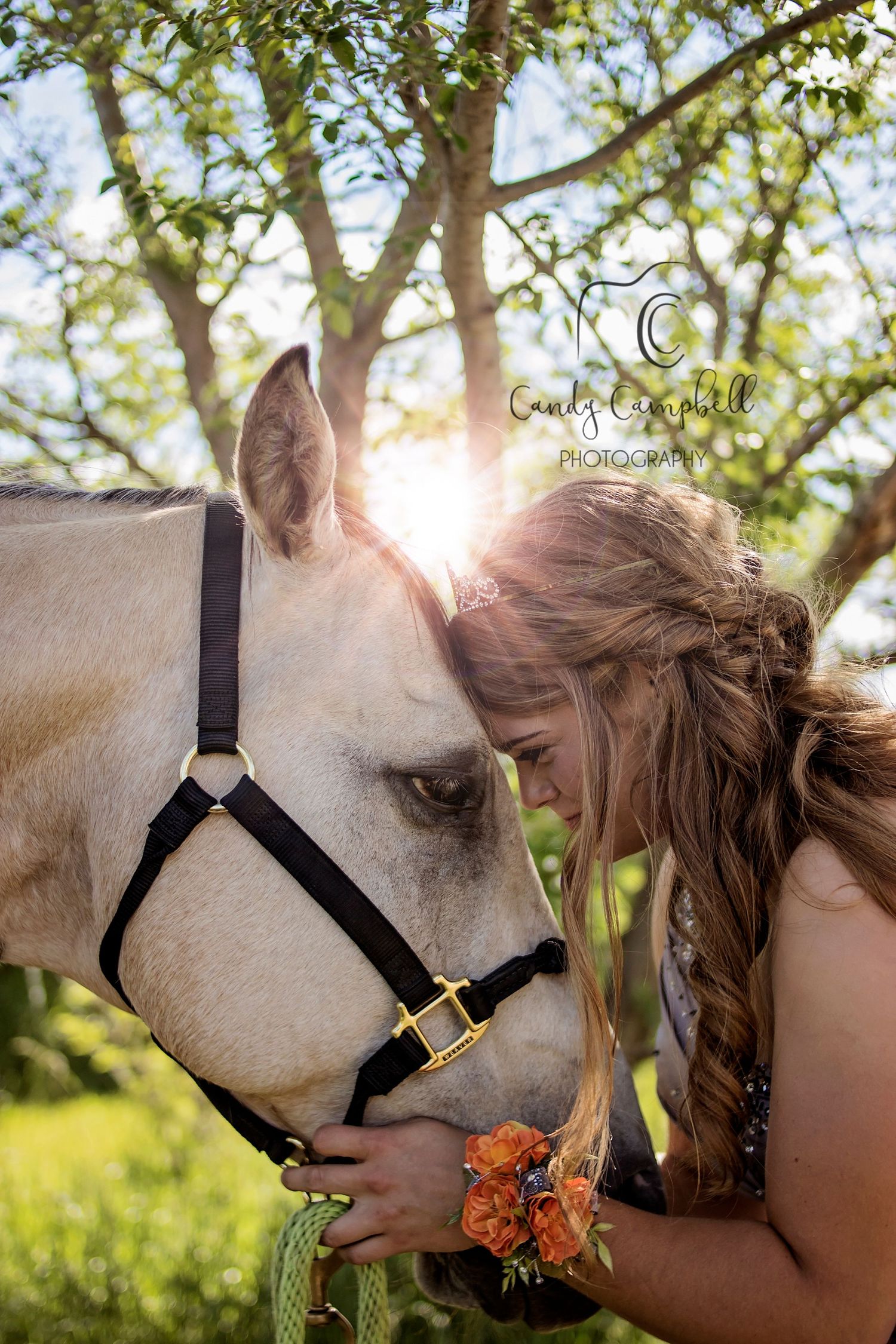 Just a girl and her horse!