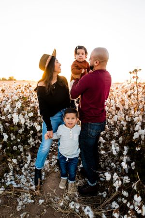 A family plays and laughs together in the cotton fields during sunset for their family portrait session.